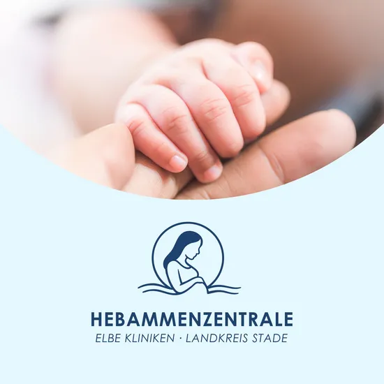 Website für die Hebammenzentrale Stade Grafik mit einem Foto von Kinderhänden und daneben das Logo der Hebammenzentrale Stade