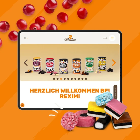 Website für REXIM Die Vorderseite der Rexim Website