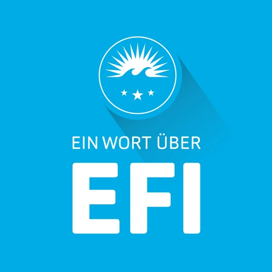 Ein Wort über Efi Blauer Hintergrund, mit dem Hochzwei Logo, davor die Aufschrift: Ein Wort über Efi.